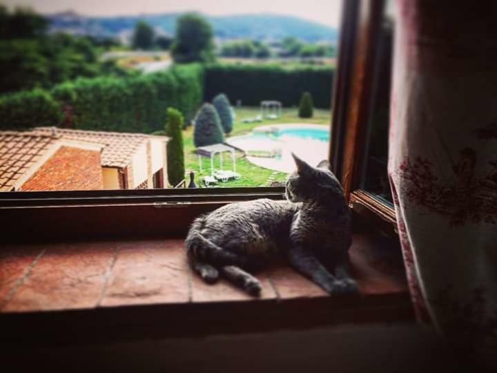 B&B Castello La Pia Dama Residence Guazzino 외부 사진